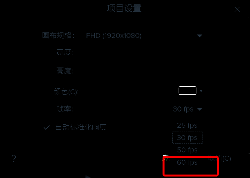Camtasia项目设置界面