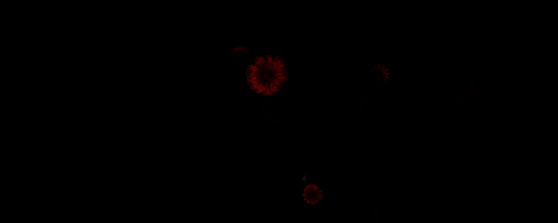 《轮回之兽》相关图片1