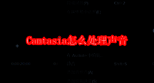 Camtasia相关界面示例图1