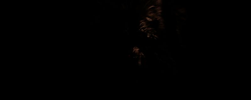 荒野大镖客2打猎场景图片