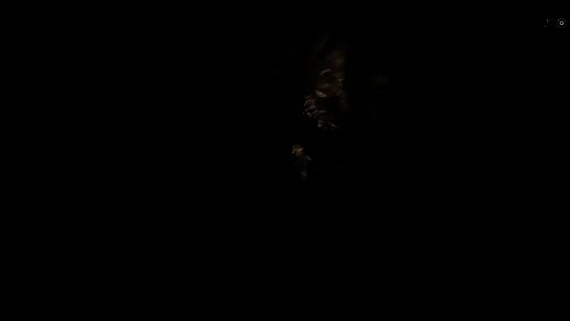 荒野大镖客2武器使用示例图片1