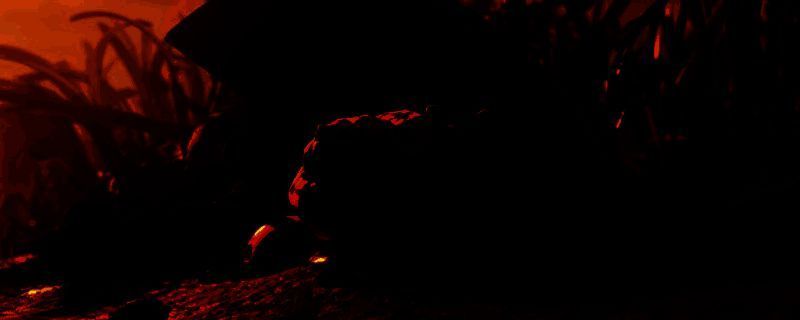 《禁闭求生2》相关图片1