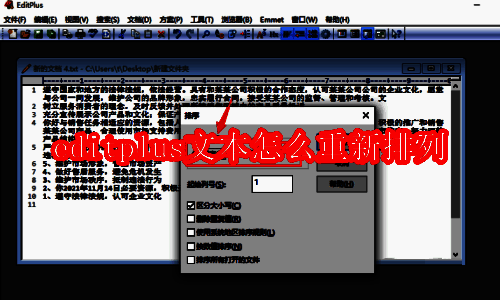 EditPlus 软件界面示例图