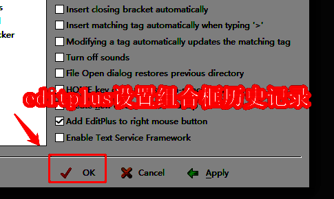 EditPlus 相关界面图1
