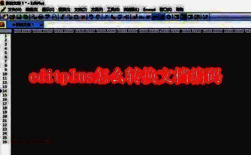 EditPlus软件界面示例图