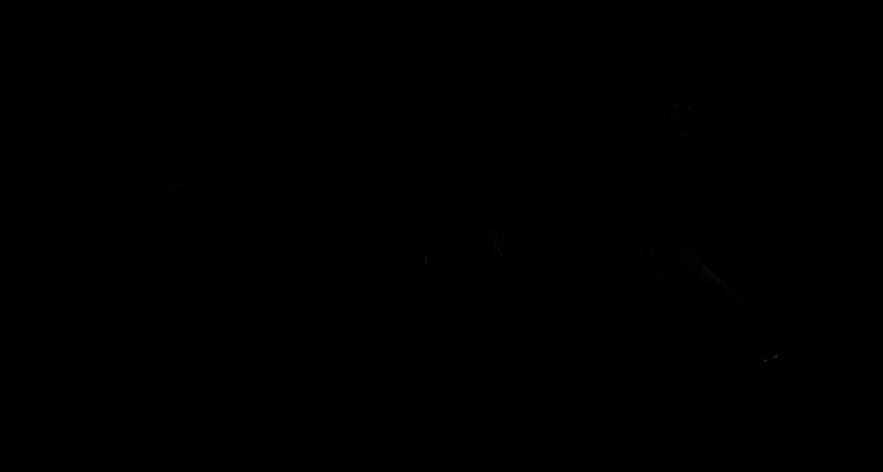 游戏内枪店场景，货架上陈列着多种武器