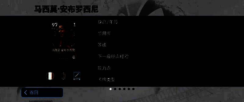 安布罗西尼赛场英姿图