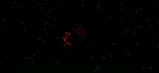 圈圈熊角色画面