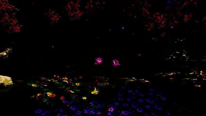 幽谷寻芳活动相关画面