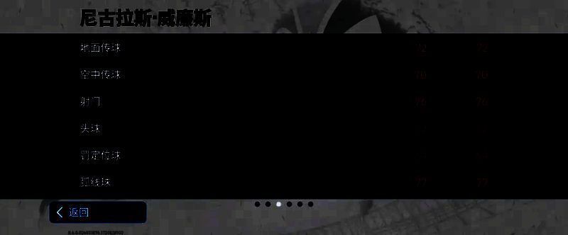 威廉斯比赛图片 4