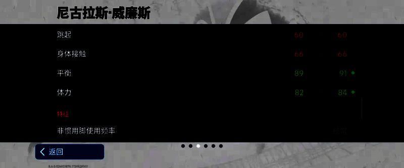 威廉斯比赛图片 6