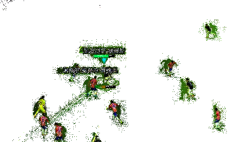 威廉斯旋风盘带动图