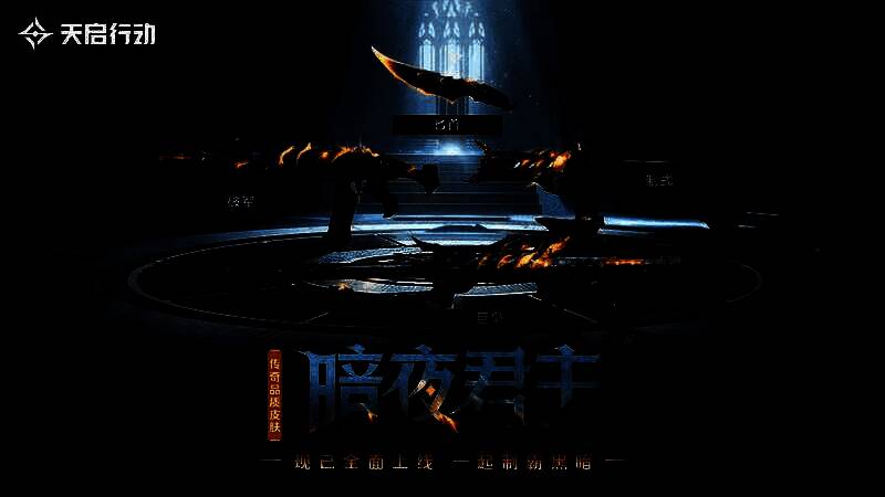 暗夜君主武器皮肤图