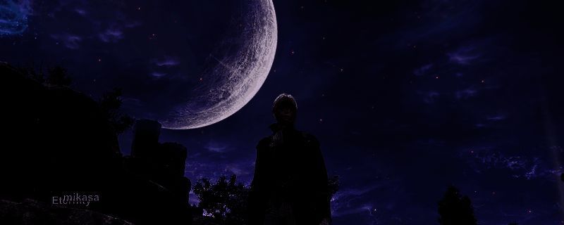 女爵角色战斗场景,身着华丽服饰展现优雅而凌厉的战斗姿态