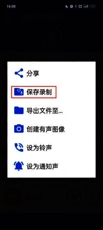 选项菜单界面,突出显示保存录制按钮位置