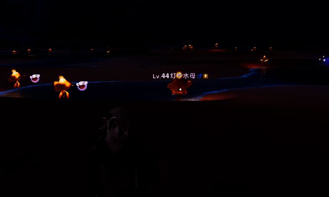 雨天形态下,吊灯水母在潮花岸水域中浮现