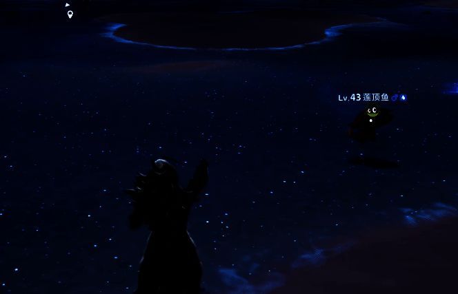 潮花岸沙滩上,灯泡水母与灯纱水母成群漂浮