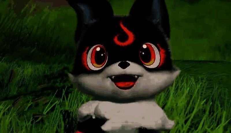 小炭犬在野外奔跑的画面,毛茸茸的外表充满活力