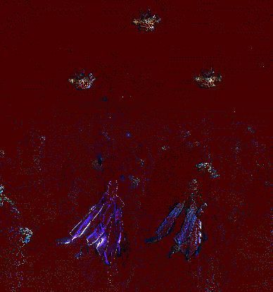 恶身秘术召唤替身,托天秘术在关键时刻救场