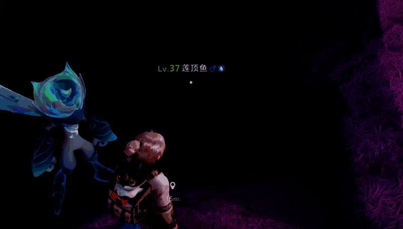 星乐蒂在空中飞行的动态展示，背景为星落林地图