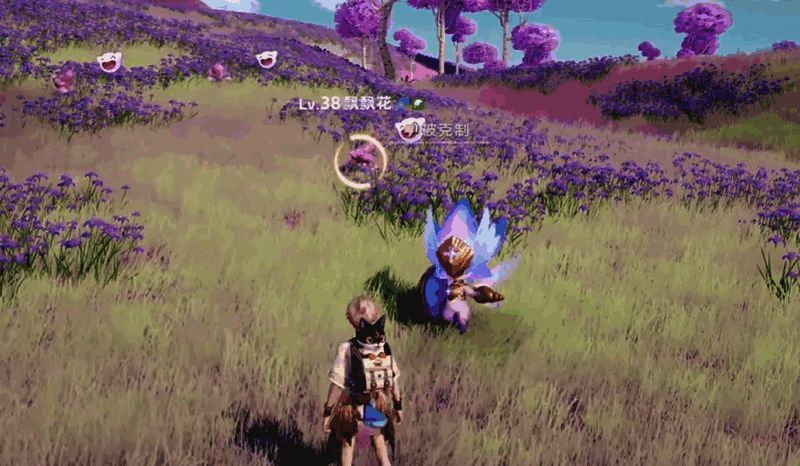 伊莫宠物在不同天气下的形态变化展示