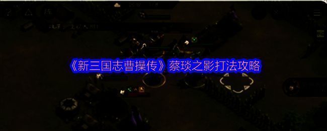 蔡琰之影战斗场景，角色技能释放瞬间