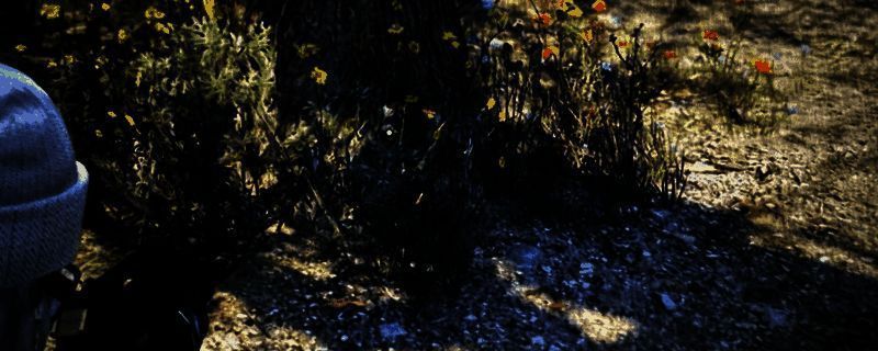 黄金左轮手枪实物展示，表面闪耀着金属光泽，背景为游戏内场景