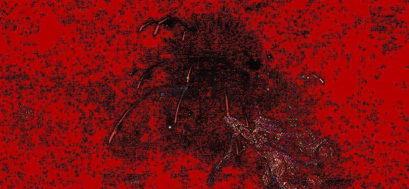 烟花手雷爆炸动图,空中绽放彩色烟花