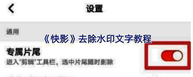 快影操作界面示意图,展示画中画功能设置区域