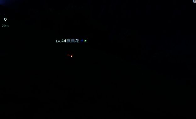 草原形态飘飘花特写,橙红色花瓣在夜色下格外醒目