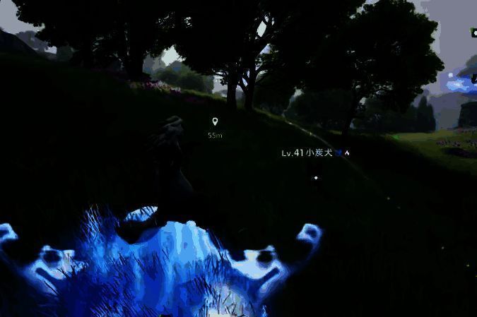 玩家角色与巨型海鸟形态精灵大号欧激烈对战,背景为夕阳下的孤岛海岸