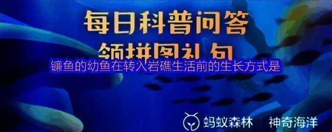 神奇海洋界面展示镰鱼幼鱼外海漂流生活的科普插图