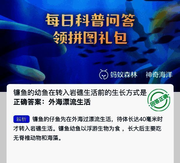 镰鱼幼鱼与成鱼对比图,标注不同阶段生活环境与食物来源