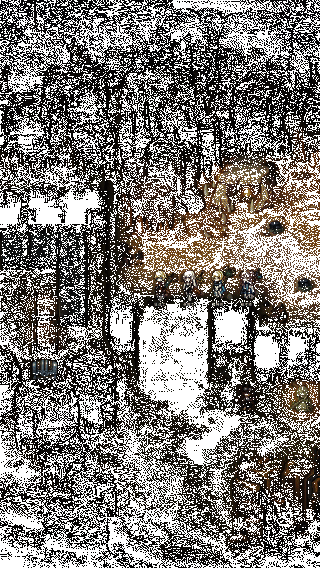 角色释放魔法技能,与伙伴协同攻击圣兽的动态战斗画面