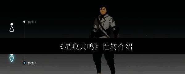 《星痕共鸣》角色创建界面展示,玩家可自由选择性别与外观