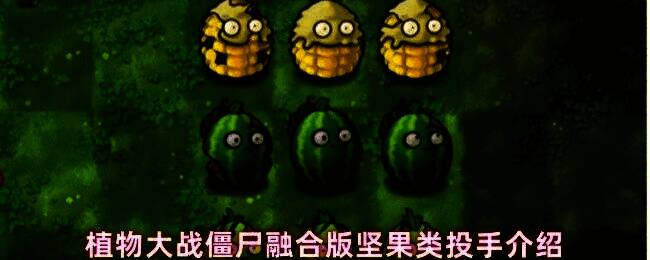 植物大战僵尸融合版中三种坚果投手并列展示,分别为玉米坚果、卷心菜坚果和西瓜坚果,背景为经典草坪战场