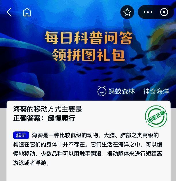 海葵缓慢爬行示意图,展示其基盘贴附海底表面缓慢移动的生物特征