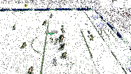 卡恩在比赛中飞身扑救,动作迅猛,展现顶级反应速度