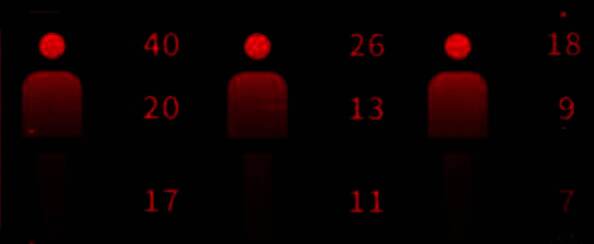 玩家使用雄鹿在狭窄走廊中突袭敌人的游戏画面，枪口火光四溅