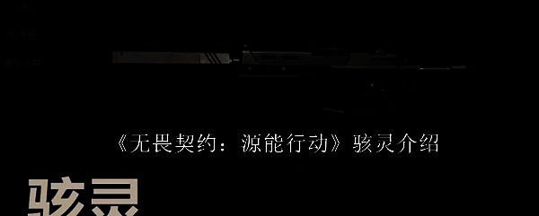 《无畏契约》游戏中骇灵突击步枪的整体外观展示,枪身线条流畅,带有未来科技感设计