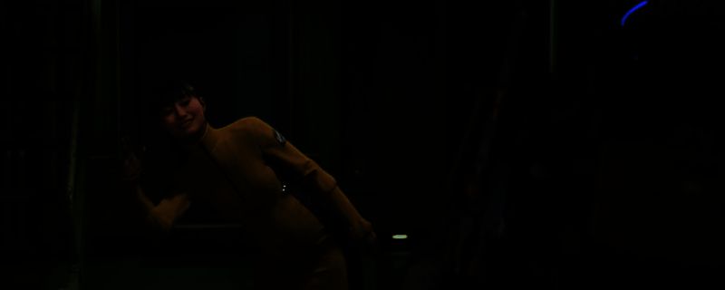 NPC小雨站在雾气弥漫的荒原中,神情静谧地望向主角,背景是《死亡搁浅2》标志性的末世景观