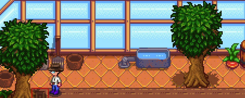 《星露谷物语》游戏内温室全景实机截图：木质结构通透明亮，内部整齐排列着多排作物床，阳光透过玻璃穹顶洒落，地面泛着温润泥土光泽，右侧可见洒水壶与种子袋道具