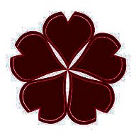 樱花动漫 免费完整版 V1.2