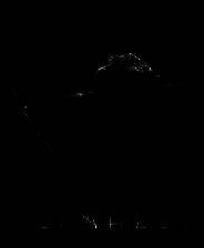 《炼金之境》游戏库