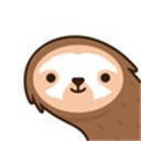 树懒acc 2025最新版 V2.9.1