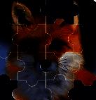 拖一拖拼图 安卓版 V1.0.0