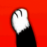 猫爪输入法 V1.0