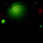 《绿豆刷机神器》最新版