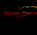 氮气加速赛车 V0.5