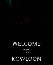 《欢迎来到九龙》电脑版